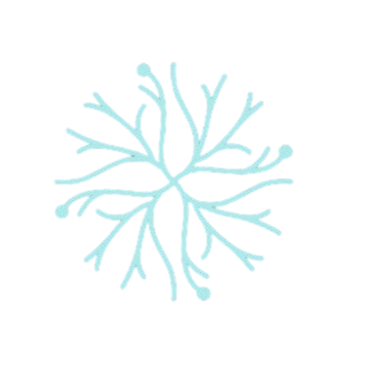 footer-logo