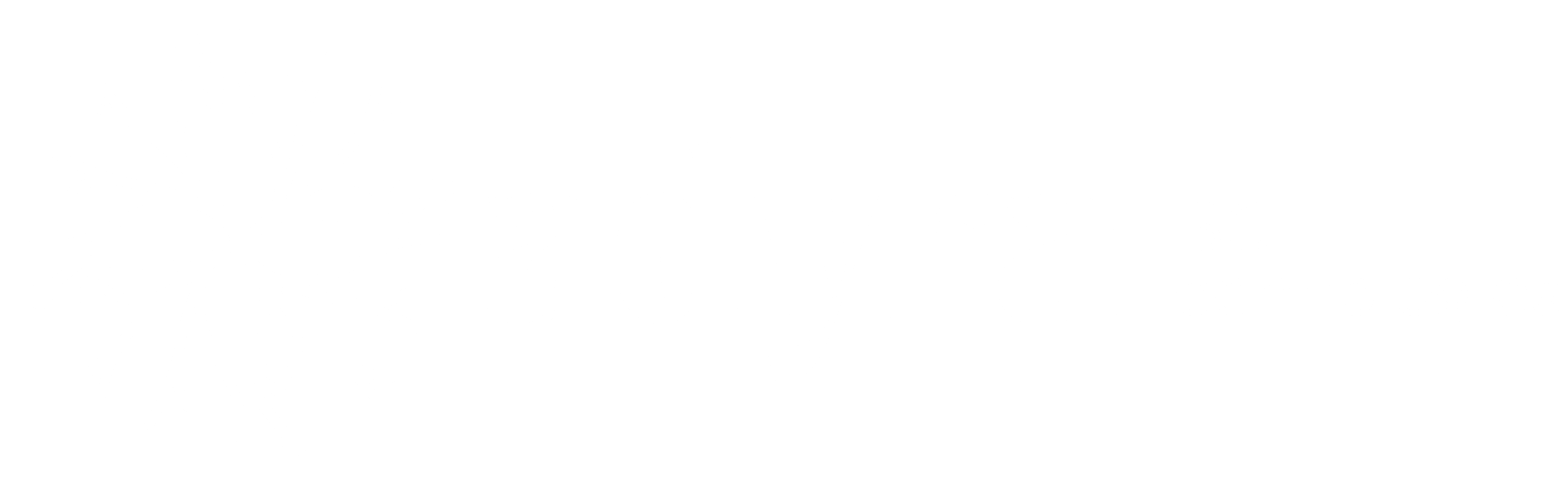 Adyra logo